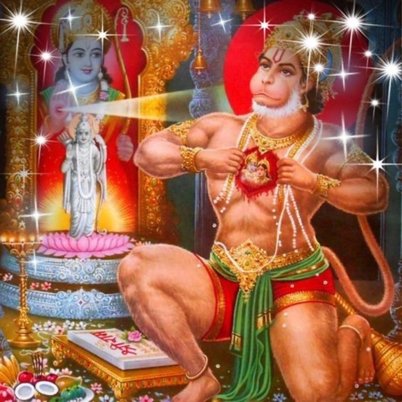 Meet your Posher, Sunny - Picture 1 of 1